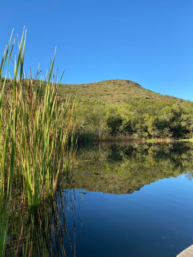 The Retreat At Groenfontein Calitzdorp Luaran gambar