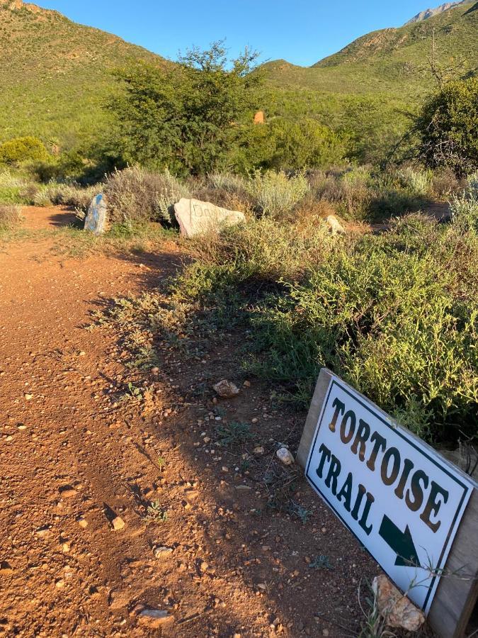 The Retreat At Groenfontein Calitzdorp Luaran gambar