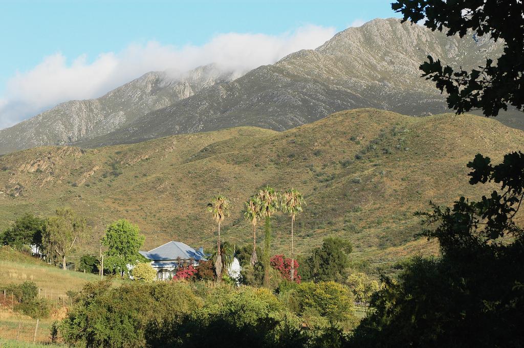 The Retreat At Groenfontein Calitzdorp Luaran gambar