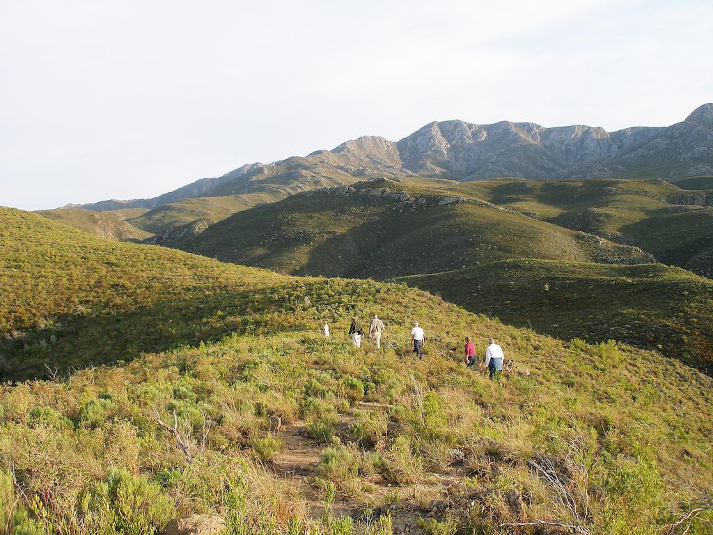 The Retreat At Groenfontein Calitzdorp Luaran gambar